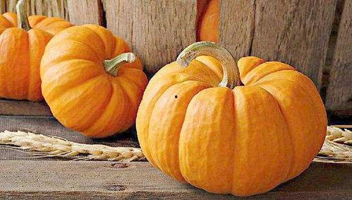 吃方瓜用刮皮吗视频教程,视频教程教你无刮痕技巧