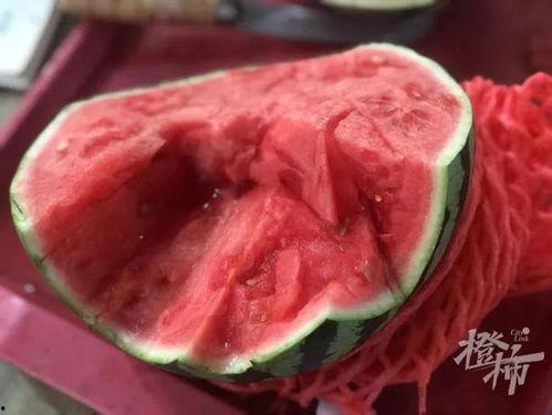 孩子吃麒麟瓜视频播放,视频播放引网友热议