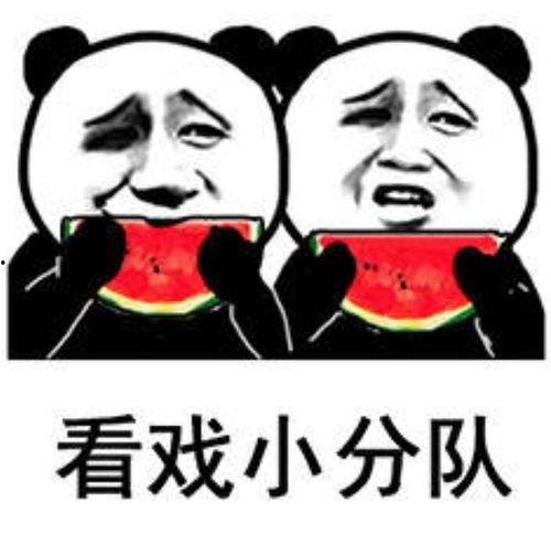 哈哈吃瓜视频表情包,哈哈吃瓜表情包，带你领略网络幽默魅力