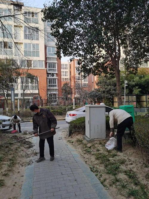 绿都上河城吃瓜视频,揭秘社区生活趣味瞬间