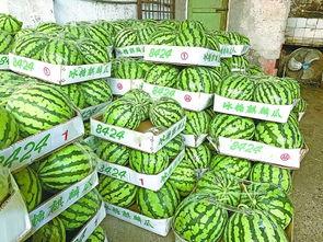 武汉吃瓜全部视频,全程视频回顾